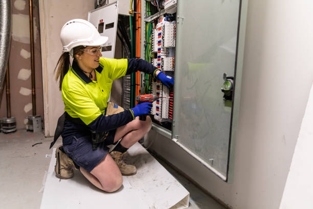 Best Electric Panel Repair  in , HI